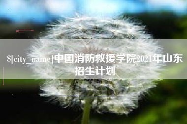 孟津中国消防救援学院2021年山东招生计划