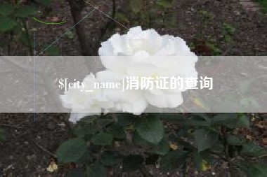 孟津消防证的查询