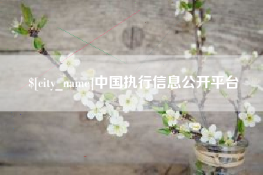孟津中国执行信息公开平台