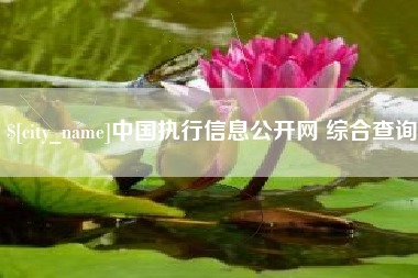 孟津中国执行信息公开网 综合查询
