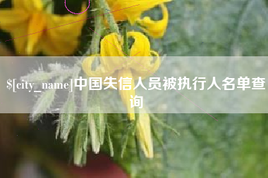 孟津中国失信人员被执行人名单查询