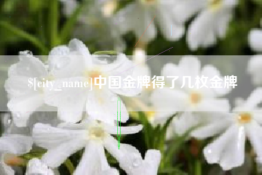 孟津中国金牌得了几枚金牌