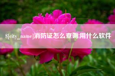 孟津消防证怎么查询,用什么软件