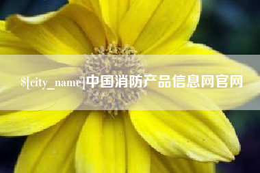 孟津中国消防产品信息网官网