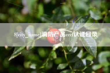 孟津消防产品cccf认证目录