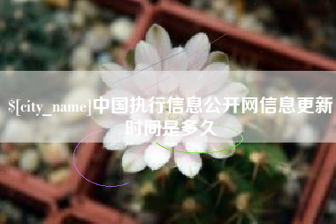 孟津中国执行信息公开网信息更新时间是多久