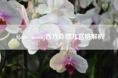 孟津西方命数九宫格解析