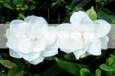 孟津现在中国金牌是多少