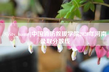 孟津中国消防救援学院2020年河南录取分数线