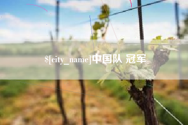 孟津中国队 冠军
