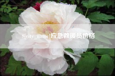 孟津应急救援员价格