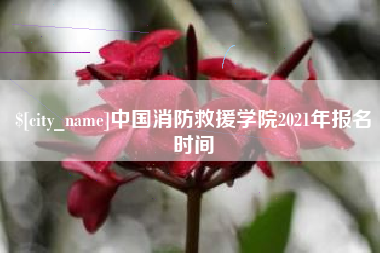 孟津中国消防救援学院2021年报名时间