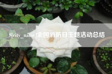 孟津全国消防日主题活动总结