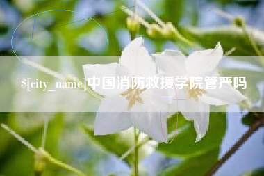 孟津中国消防救援学院管严吗