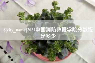 孟津2021中国消防救援学院分数线是多少