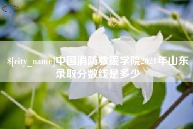 孟津中国消防救援学院2021年山东录取分数线是多少