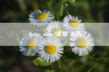 孟津成都 消防