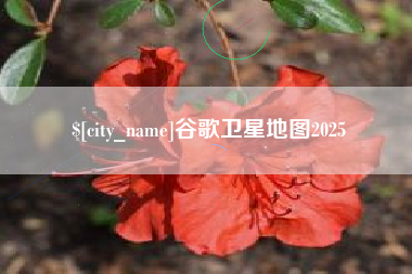 孟津谷歌卫星地图2025