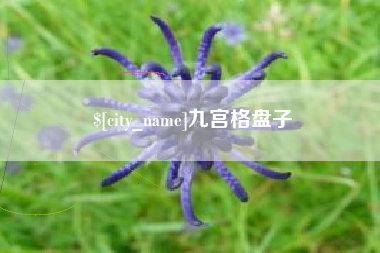 孟津九宫格盘子