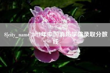 孟津2021年中国消防学院录取分数线