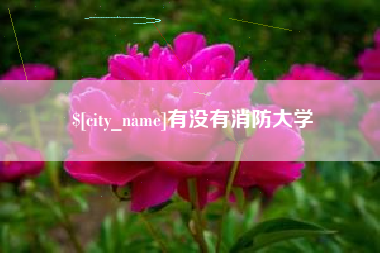 孟津有没有消防大学