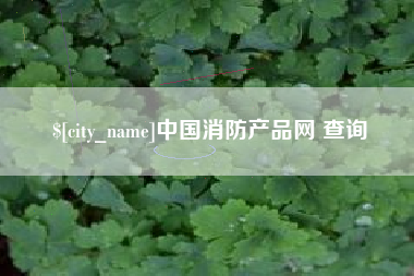 孟津中国消防产品网 查询