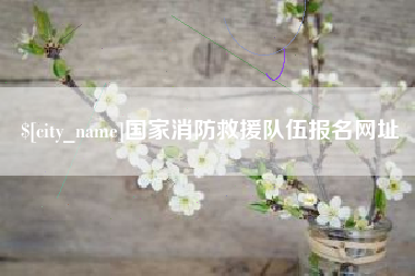 孟津国家消防救援队伍报名网址