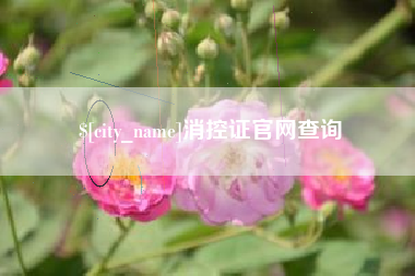 孟津消控证官网查询