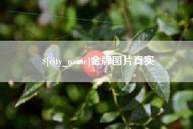 孟津金牌图片真实
