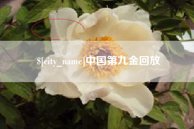 孟津中国第九金回放