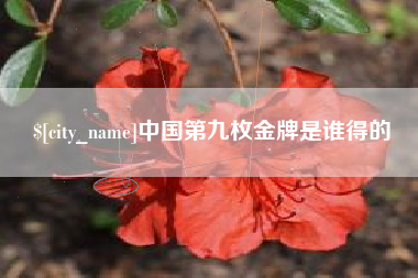 孟津中国第九枚金牌是谁得的