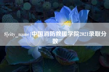 孟津中国消防救援学院2021录取分数