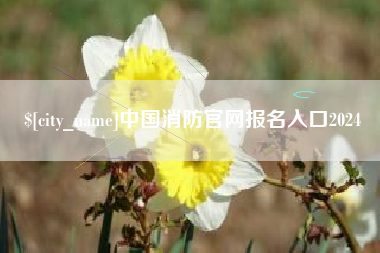 孟津中国消防官网报名入口2024