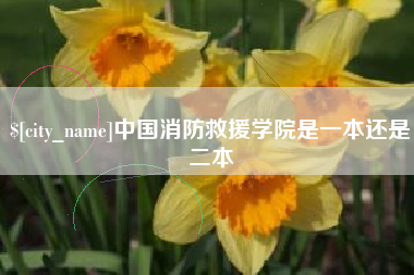 孟津中国消防救援学院是一本还是二本