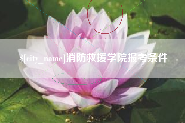 孟津消防救援学院报考条件