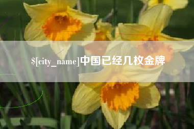 孟津中国已经几枚金牌