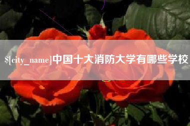 孟津中国十大消防大学有哪些学校