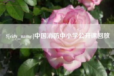 孟津中国消防中小学公开课回放