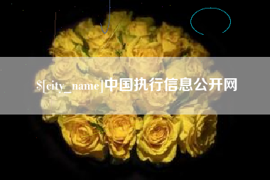 孟津中国执行信息公开网