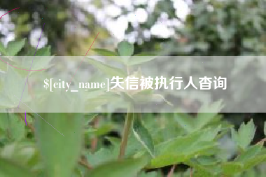 孟津失信被执行人杳询