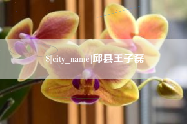 孟津邱县王子磊