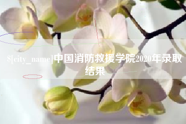 孟津中国消防救援学院2020年录取结果