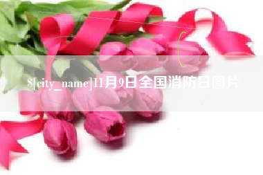 孟津11月9日全国消防日图片