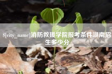 孟津消防救援学院报考条件湖南招生多少分