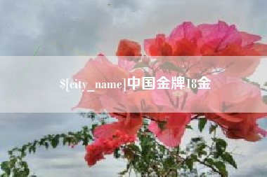 孟津中国金牌18金