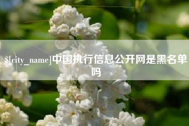 孟津中国执行信息公开网是黑名单吗