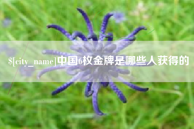 孟津中国6枚金牌是哪些人获得的