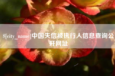 孟津中国失信被执行人信息查询公开网址