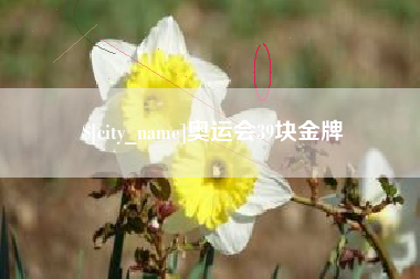 孟津奥运会39块金牌