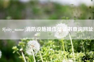 孟津消防设施操作员证书查询网址